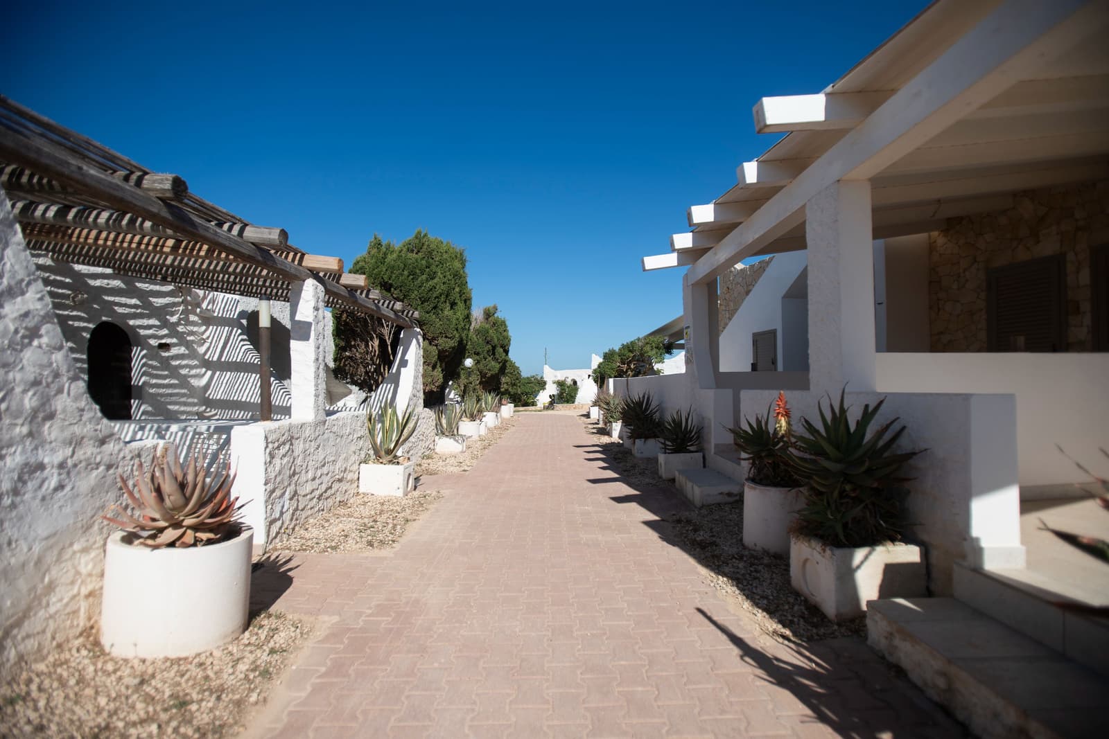 IL VILLAGGIO DEL MAGO