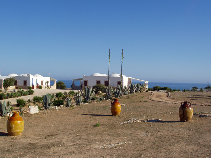 DAMMUSI DEL MOSAICO DEL SOL