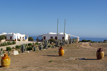 DAMMUSI DEL MOSAICO DEL SOL